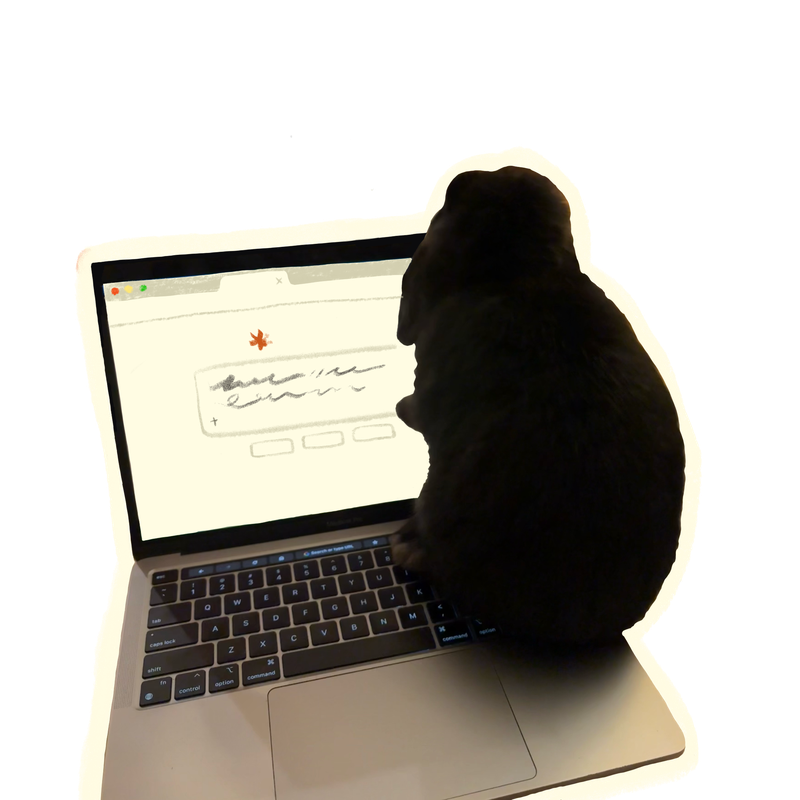 Clawed the rabbit at a laptop