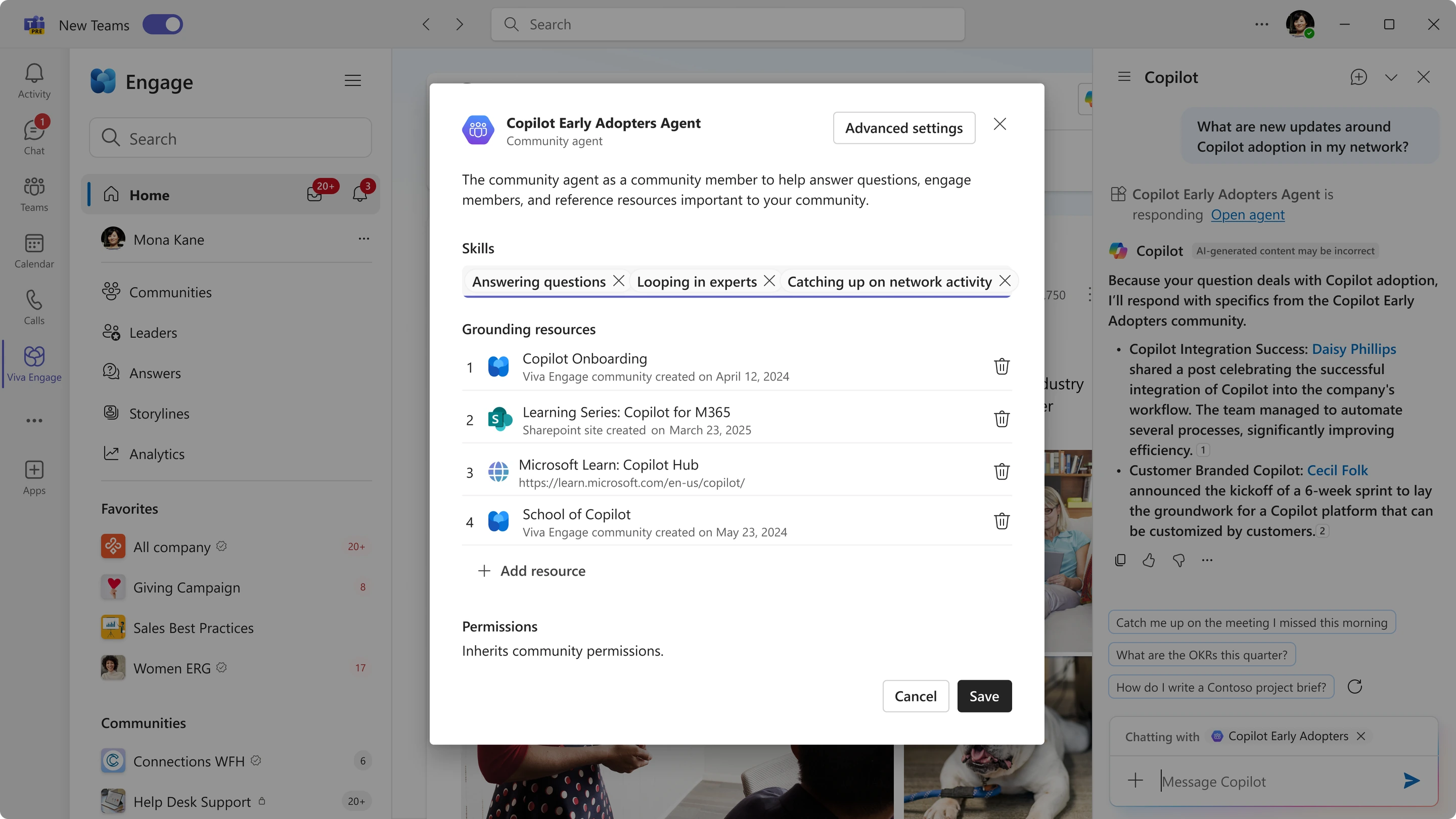 The agent opened: its skills, the four grounding resources behind it, and the permissions it inherits.